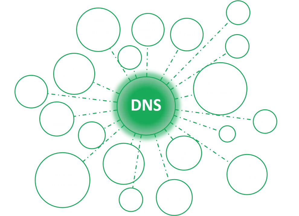 DNS химоя