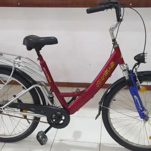 Velosipedlar 26 Germaniya