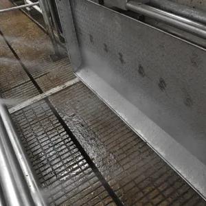 Автоматизированное устройство для мойки копыт Lely Walkway