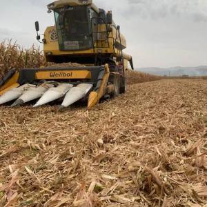 Жатка для уборки кукурузы Elibol MHS 6 на зерноуборочный комбайн