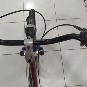 Velosipedlar 26 Germaniya