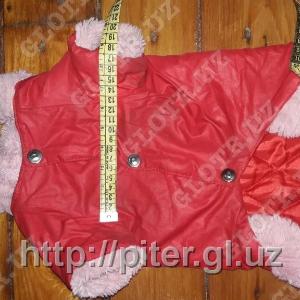 одежда для собак