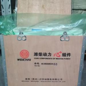 Поршневая группа на HOWO и SHACMAN