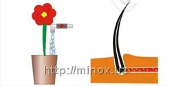 Minox 5%  Los’on, erkaklarning soch to’kilishiga qarshi