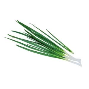 Лук зелёный, пучок