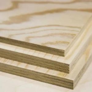 Ламинированная фанера