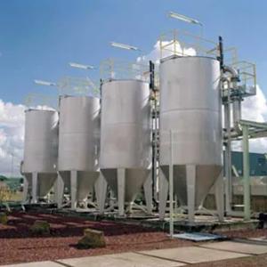 Davolash o'simliklari