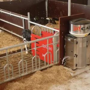 Buzoqlarni boqishning avtomatlashtirilgan tizimi Lely Calm