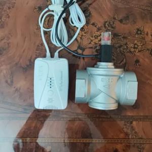 Клапан электромагнитный ДУ-50