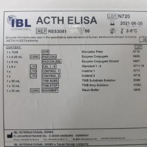 АКТГ (Адренокортикотропный гормон, кортикотроп)