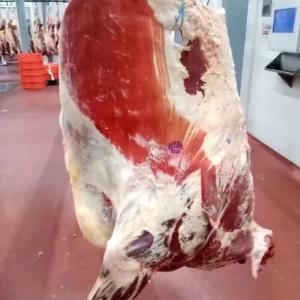 Мясо замороженное производства Беларусь