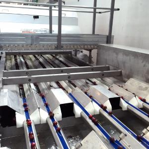 Сортировочные, калибровочные линии для фруктов