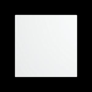 Панель декоративная Aeon D100/125 175х175 пластик Matt White Diciti