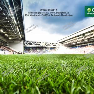 GREENFIELD sun'iy o't