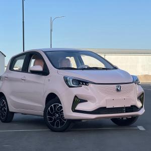 Электромобиль Changan Benben E-Star Luxe 310km