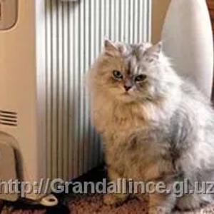 Масляные обогреватели NIKIY 13