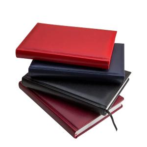 Ежедневник недатированный