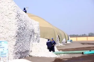 Тенты (пологи) для покрытия хлопка