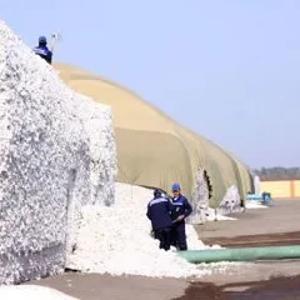 Тенты (пологи) для покрытия хлопка