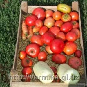 Вспученный вермикулит в овощехранении, производитель