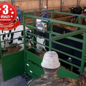 Весы для животных