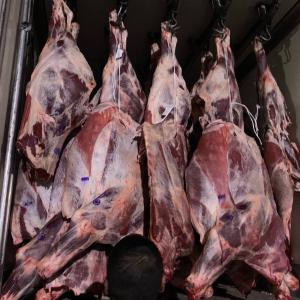 Охлажденное мясо говядины в четвертинах