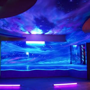 AcmeLight Invisible FACADE - devorlar uchun ko'rinmas bo'yoq