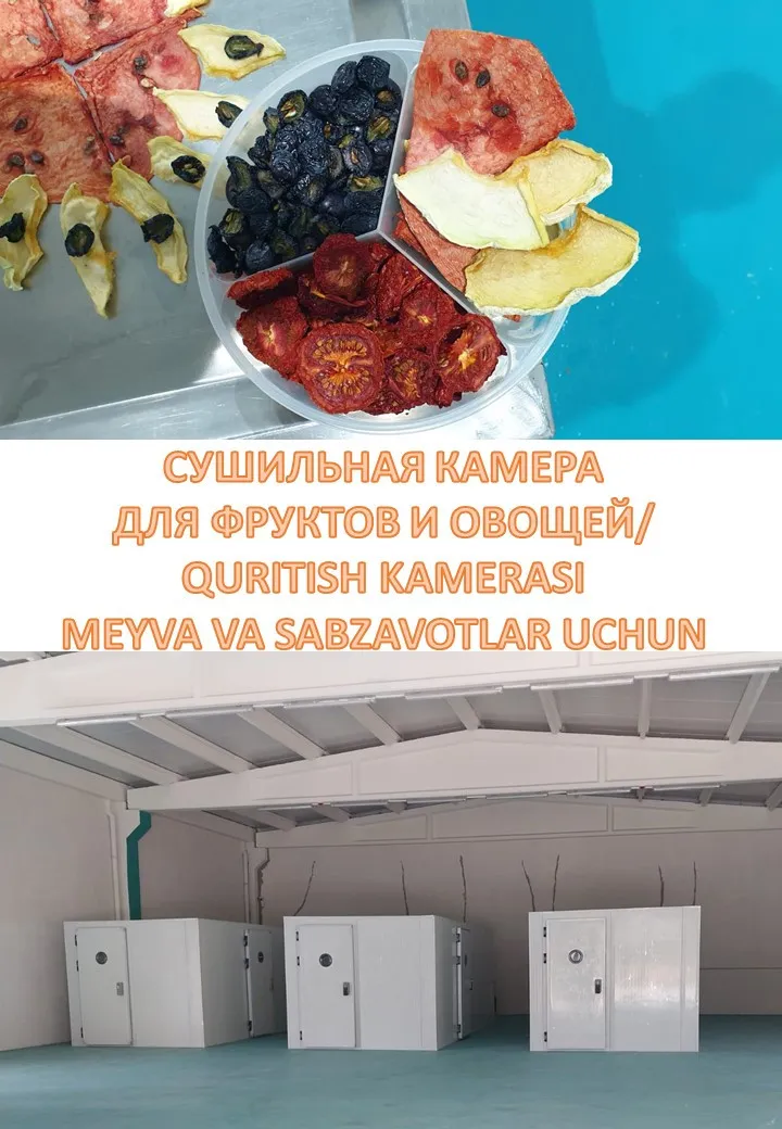 Сушильная камера для фруктов и овощей