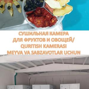Meva va sabzavotlarni quritish kamerasi