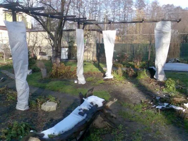 Спанбонд-Агроволокно для Сельского Хозяйства