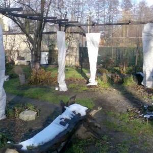 Спанбонд-Агроволокно для Сельского Хозяйства
