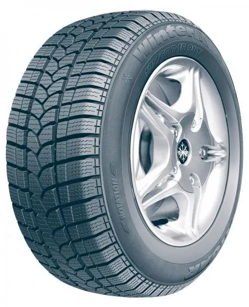 Qishki shinalar (Velcro) 195/65 R15