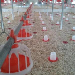 Бройлер -Климат-контроль