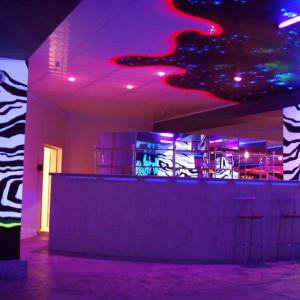 AcmeLight Invisiblе FACADE - невидимая краска для стен