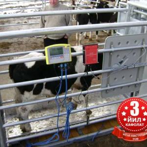 Весы для животных