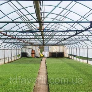Проектирование и строительство промышленных тепличных комплексов