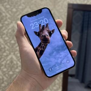 Смартфон Apple iPhone 12 Pro
