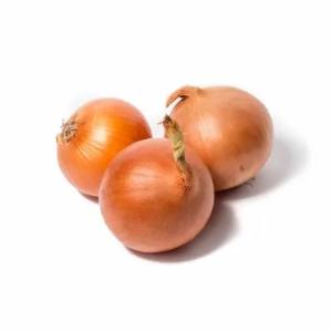 Лук репчатый