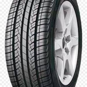 Автомобильные шины NEXEN N5000