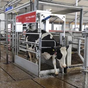 Lely Walkway avtomatlashtirilgan tuyoq yuvish mashinasi