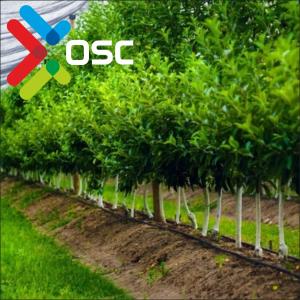 O'simliklarni himoya qilish qoplama