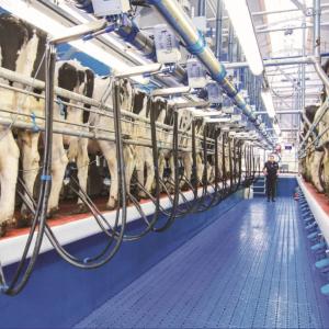 Соғим заллари