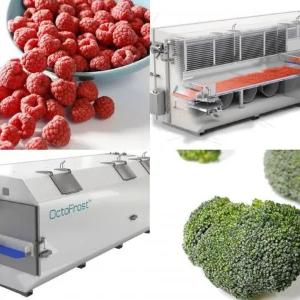 Meva va sabzavotlarni zarba bilan muzlatish