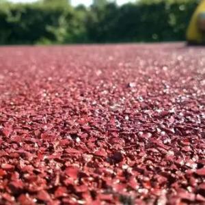 Резиновое Покрытие Бесшовное