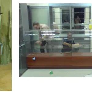 Muzeylar, zargarlik buyumlari va boshqa do'konlar uchun vitrinalar