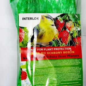 Qushlarning to'rlari