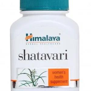 Шатавари для здоровья женщины