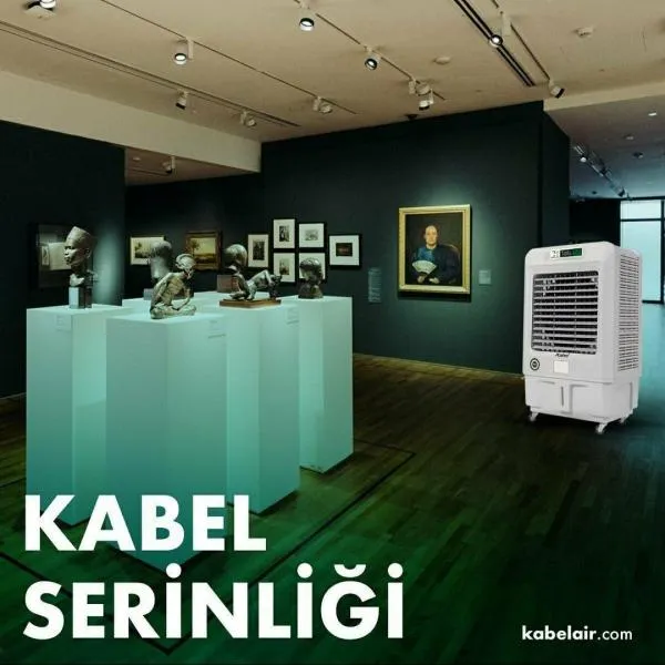 Air Cooler охладитель воздуха PLUS на 70м2