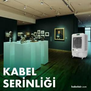 Air Cooler охладитель воздуха PLUS на 70м2
