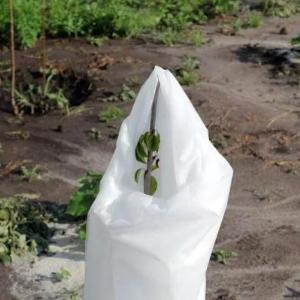 Агроволокно АгроЭл 60, (Мульча) Шир (9,3м)